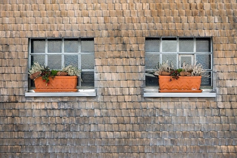 Cedar Siding